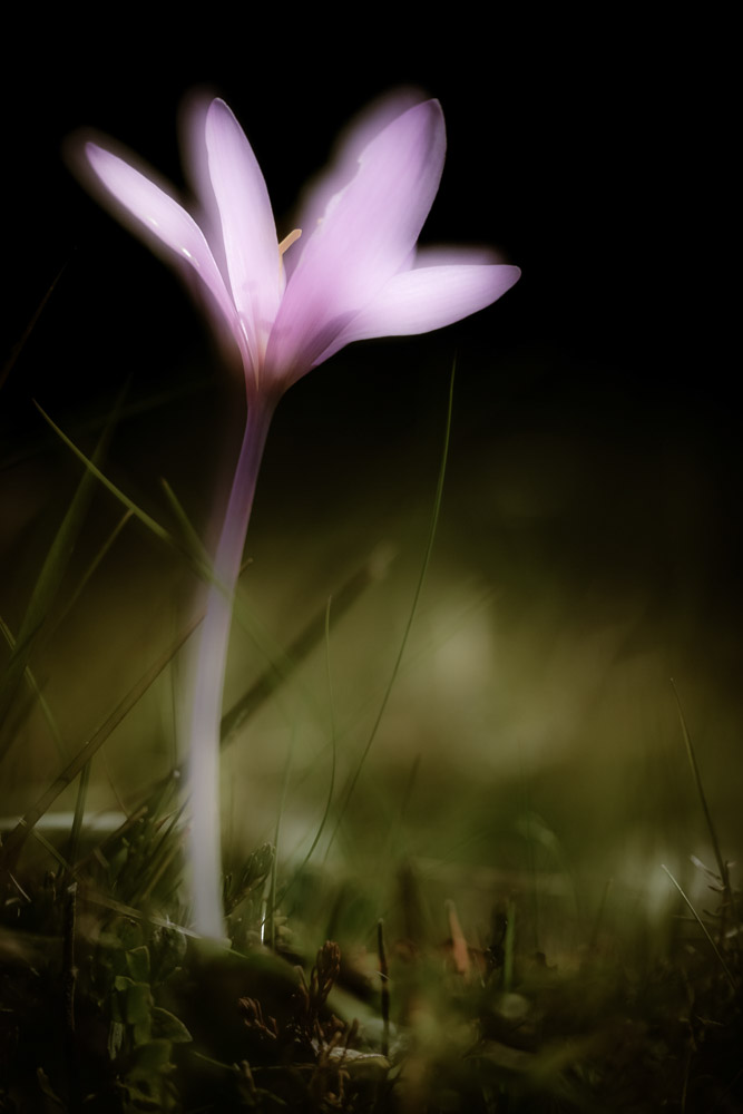 Platz 11 Robert Seitz